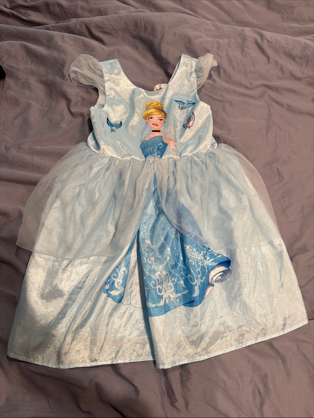 Disney H&M Dress Up Cinderella Dress Halloween 5-6 years